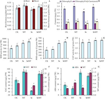 Transcriptome analysis reveals the promoting effects of exogenous melatonin on the selenium uptake in grape under selenium stress